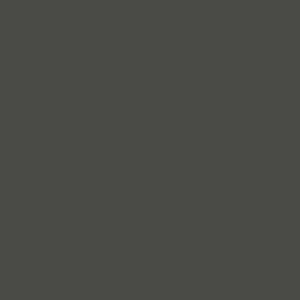 Dark gray color chip.