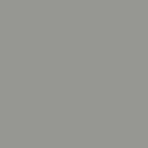 Light gray color chip.